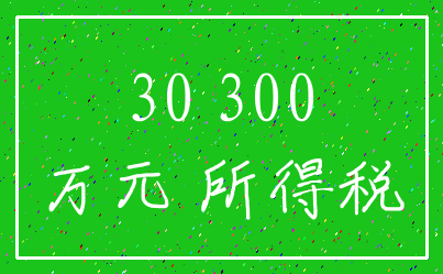 30 300_万元 所得税