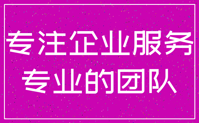 专注企业服务_专业的团队