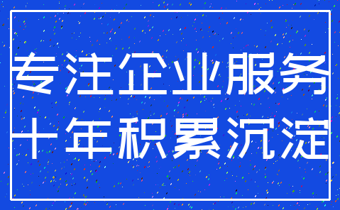 专注企业服务_十年积累沉淀