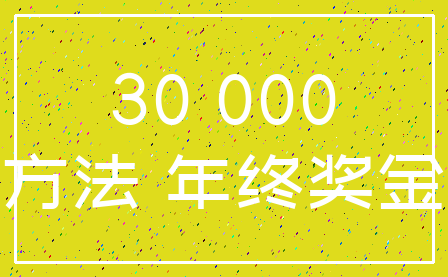 30 000_方法 年终奖金