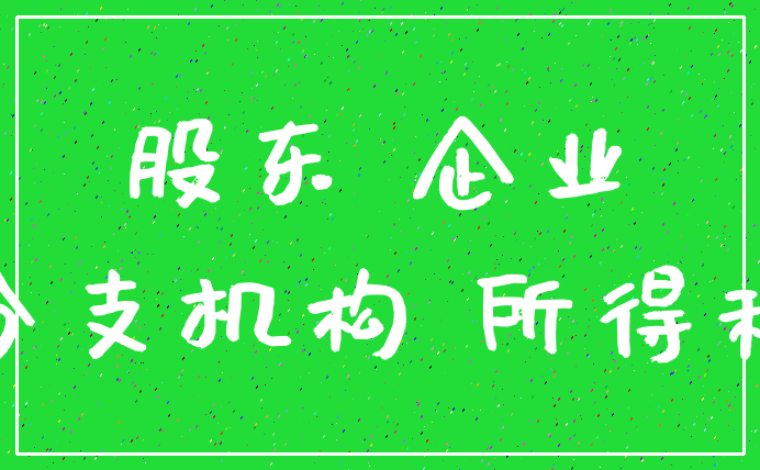 股东 企业_分支机构 所得税