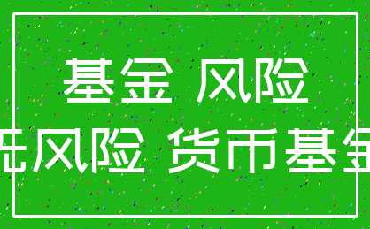 基金 风险_无风险 货币基金