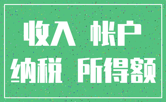 收入 帐户_纳税 所得额