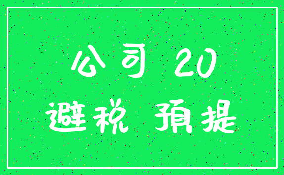 公司 20_避税 预提