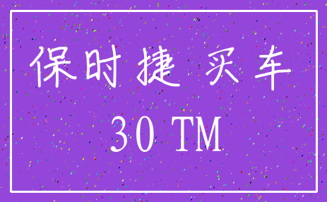 保时捷 买车_30 TM