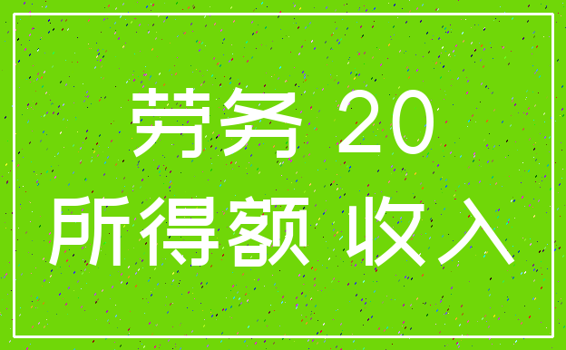 劳务 20_所得额 收入