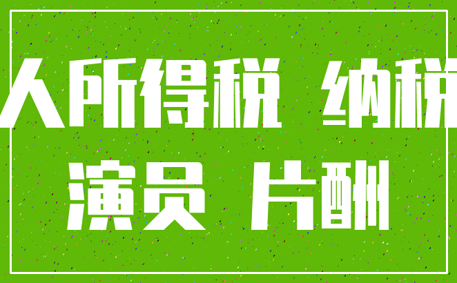 个人所得税 纳税人_演员 片酬