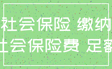 社会保险 缴纳_社会保险费 足额