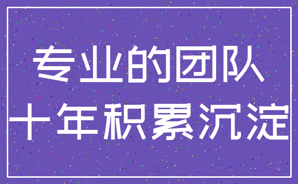 专业的团队_十年积累沉淀