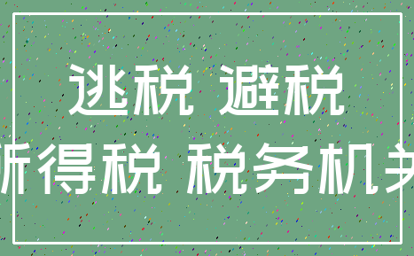 逃税 避税_所得税 税务机关