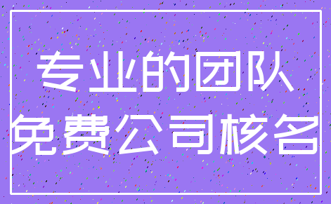 专业的团队_免费公司核名