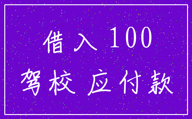 借入 100_驾校 应付款