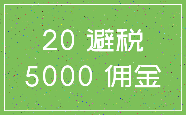 20 避税_5000 佣金