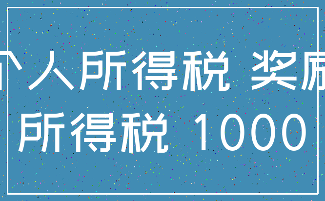 个人所得税 奖励_所得税 1000