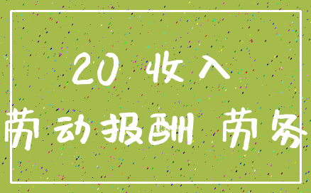 20 收入_劳动报酬 劳务