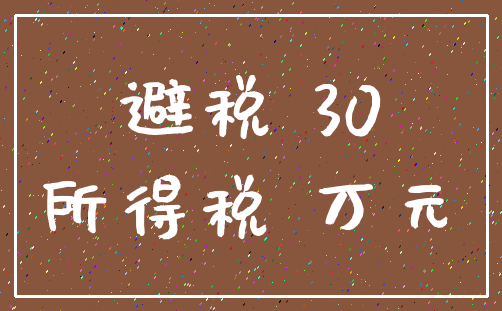 避税 30_所得税 万元