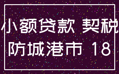 小额贷款 契税_防城港市 18