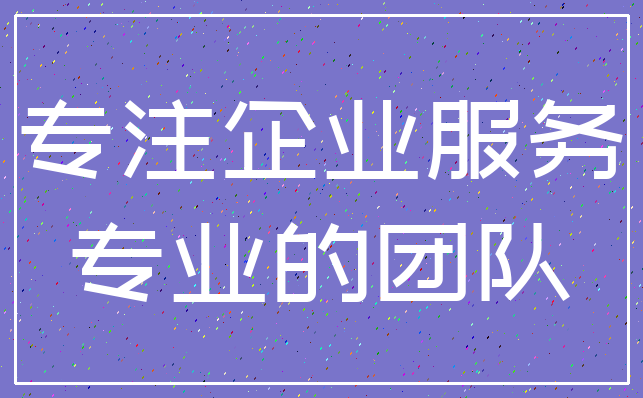 专注企业服务_专业的团队