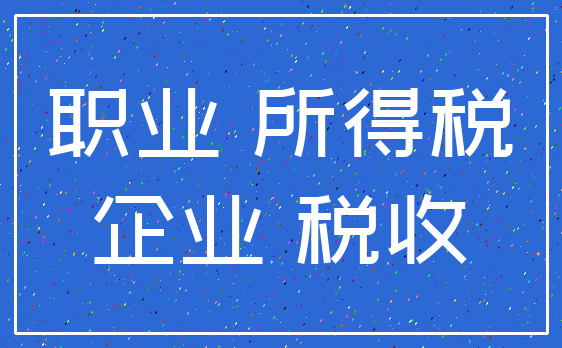 职业 所得税_企业 税收