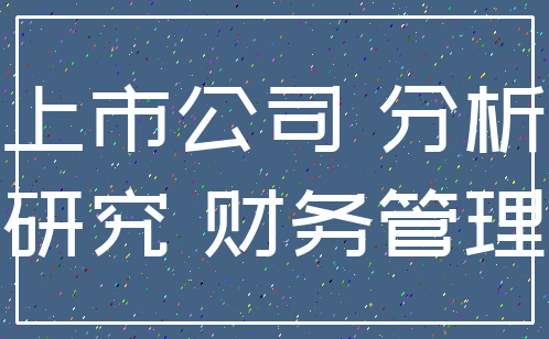 上市公司 分析_研究 财务管理