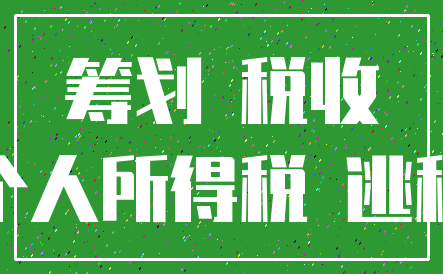 筹划 税收_个人所得税 逃税