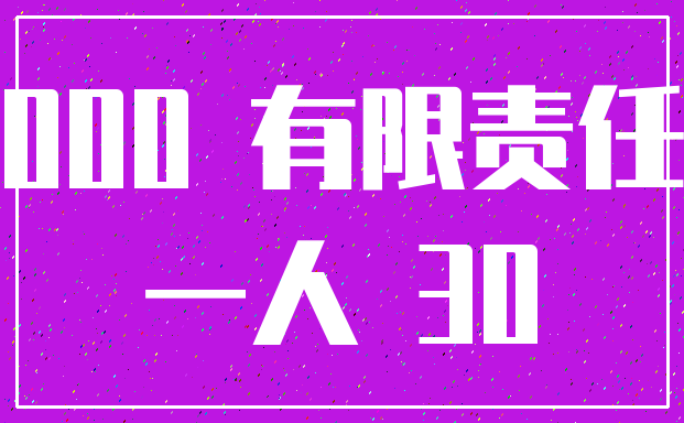 000 有限责任_一人 30