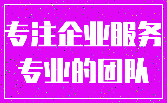 专注企业服务_专业的团队