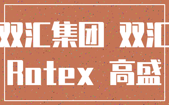 双汇集团 双汇_Rotex 高盛