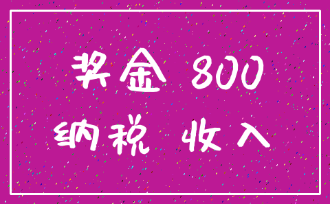 奖金 800_纳税 收入