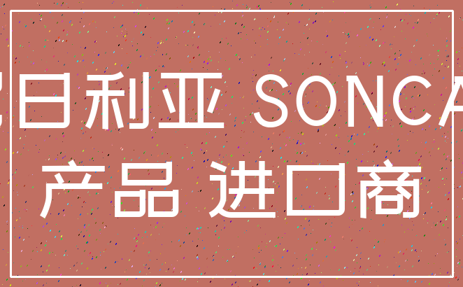 尼日利亚 SONCAP_产品 进口商