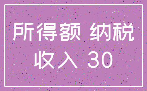 所得额 纳税_收入 30