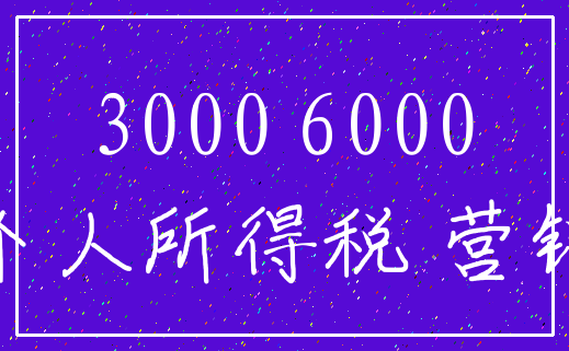 3000 6000_个人所得税 营销