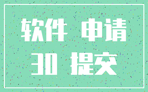 软件 申请_30 提交