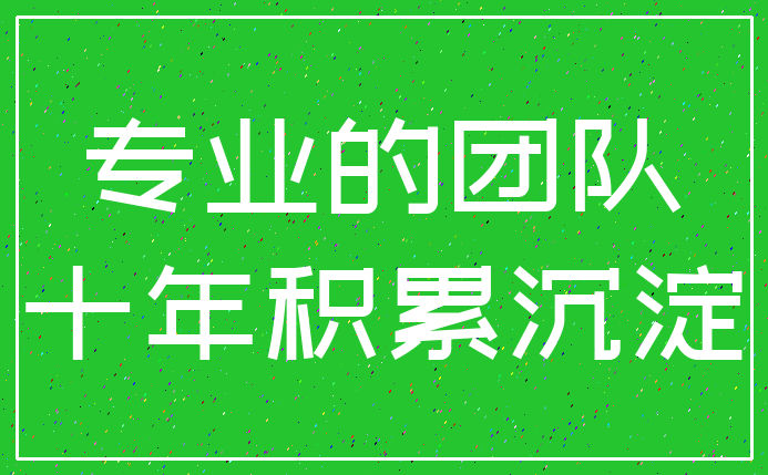 专业的团队_十年积累沉淀