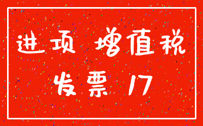 进项 增值税_发票 17