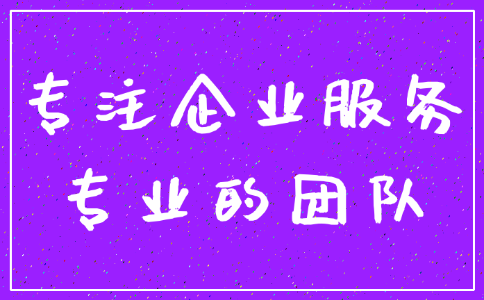 专注企业服务_专业的团队