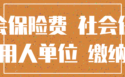 社会保险费 社会保险_用人单位 缴纳