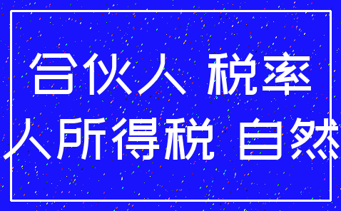 合伙人 税率_个人所得税 自然人