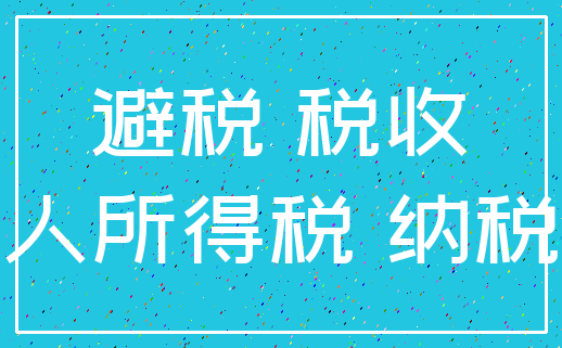 避税 税收_个人所得税 纳税人