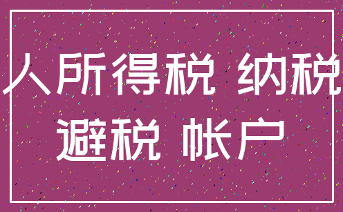 个人所得税 纳税人_避税 帐户