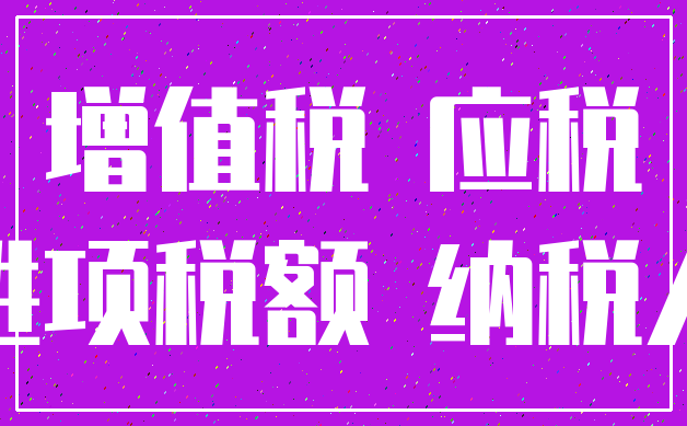 增值税 应税_进项税额 纳税人