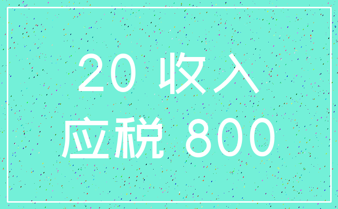 20 收入_应税 800