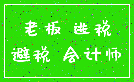 老板 逃税_避税 会计师