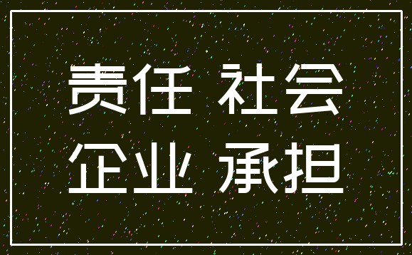 责任 社会_企业 承担