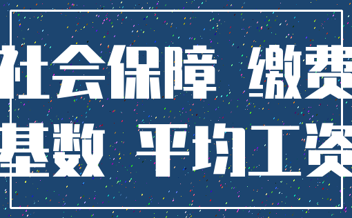 社会保障 缴费_基数 平均工资