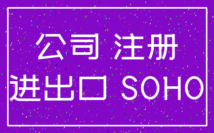 公司 注册_进出口 SOHO