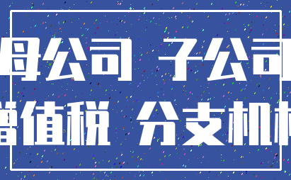 母公司 子公司_增值税 分支机构