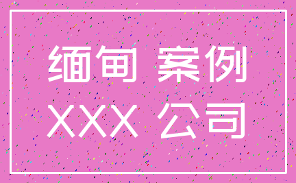 缅甸 案例_XXX 公司