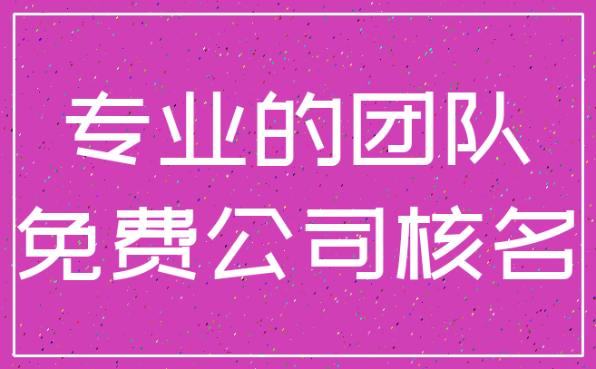 专业的团队_免费公司核名