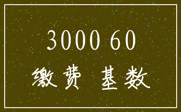 3000 60_缴费 基数